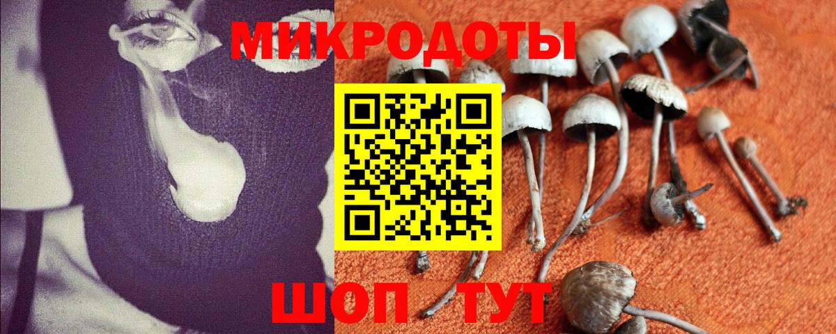 что такое   Псилоцибиновые грибы ЛСД  Вход с VPN  Галлюциногенные грибы Cubensis  Александров 